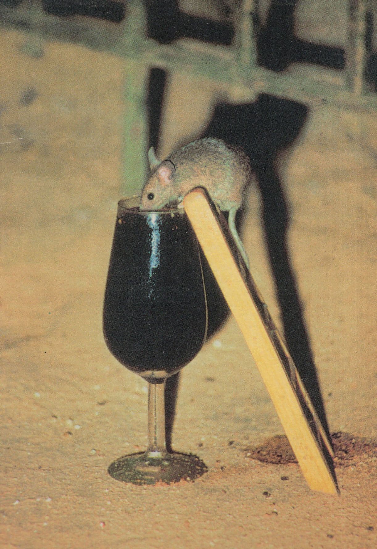 Mouse Getting Drunk Drinking Wine Gonzalez Byass Advertising Postcard