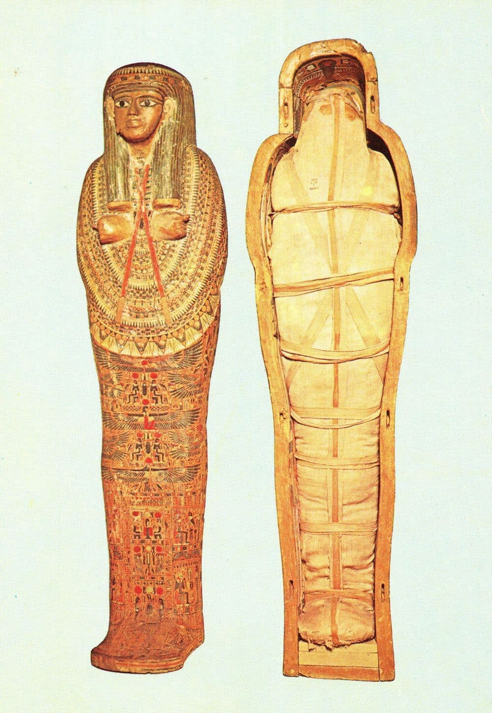 Mummy & Coffin Of Egypt Egyptian Princess Old Thebes Dynasty Postcard