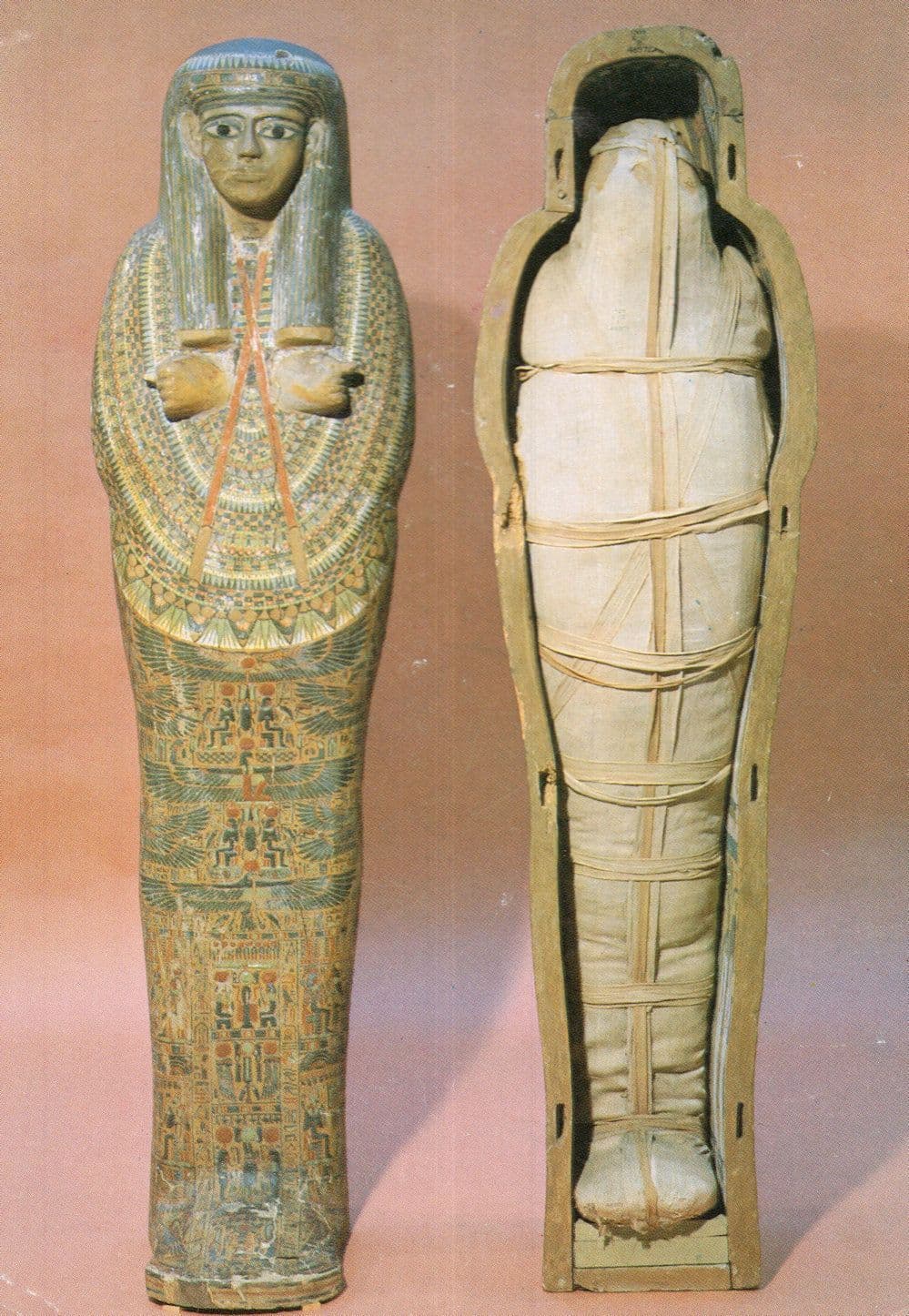 Mummy & Coffin Of Egyptian Priestess Thebes Dynasty Postcard
