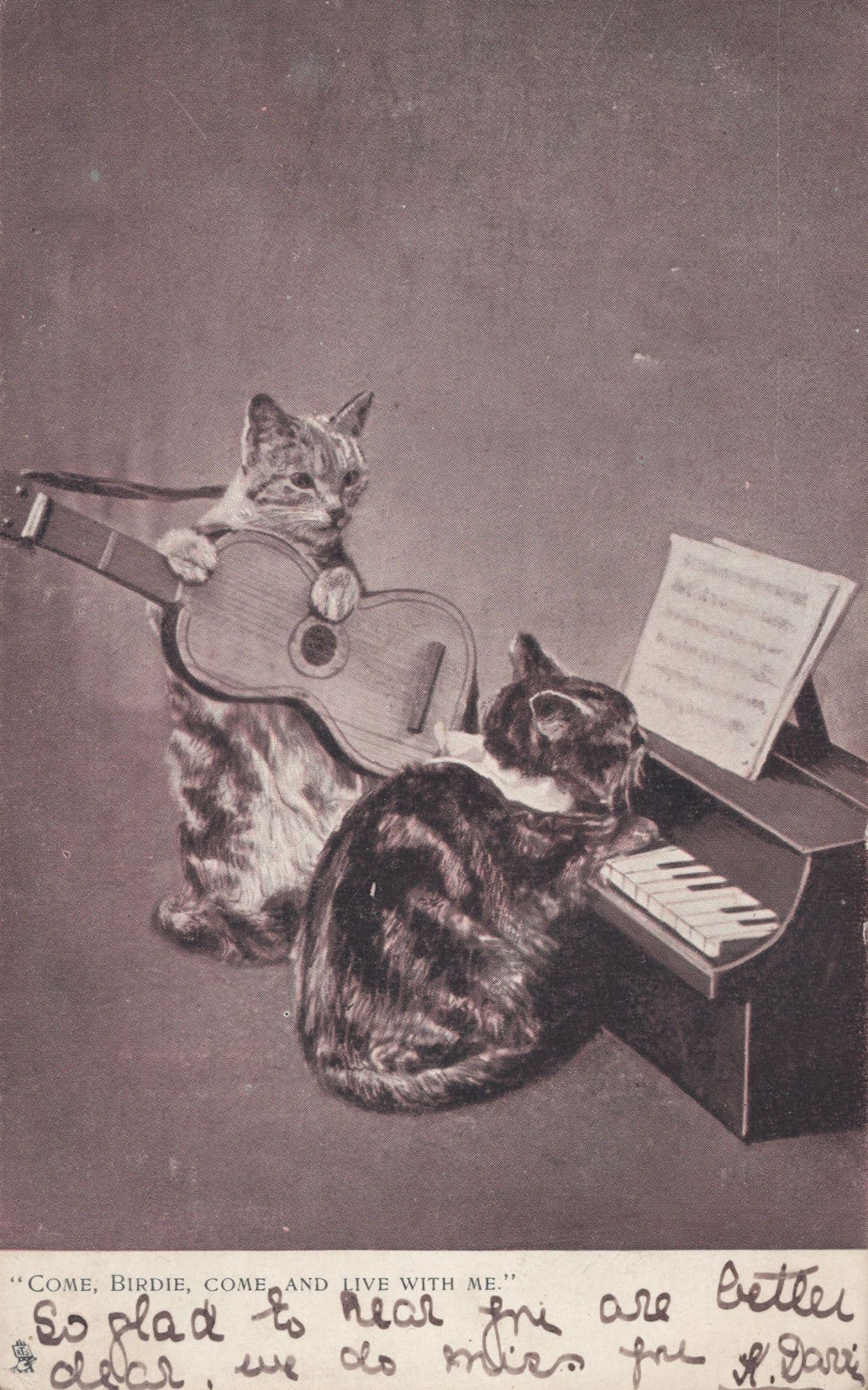 Musical Guitar Player Pianist Piano Cat Antique Tucks 1903 Postcard