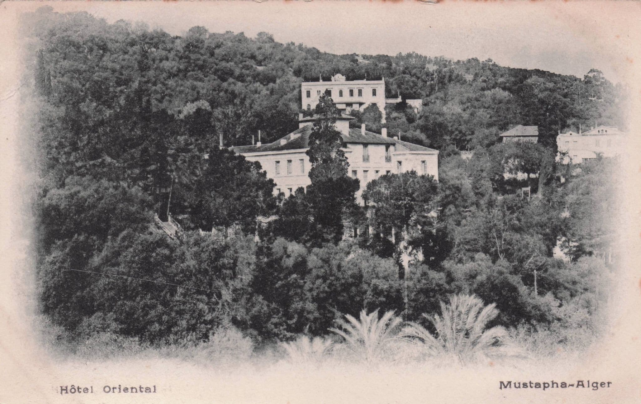 Mustapha Alger Hotel Oriental Antique Algeria Rare Postcard