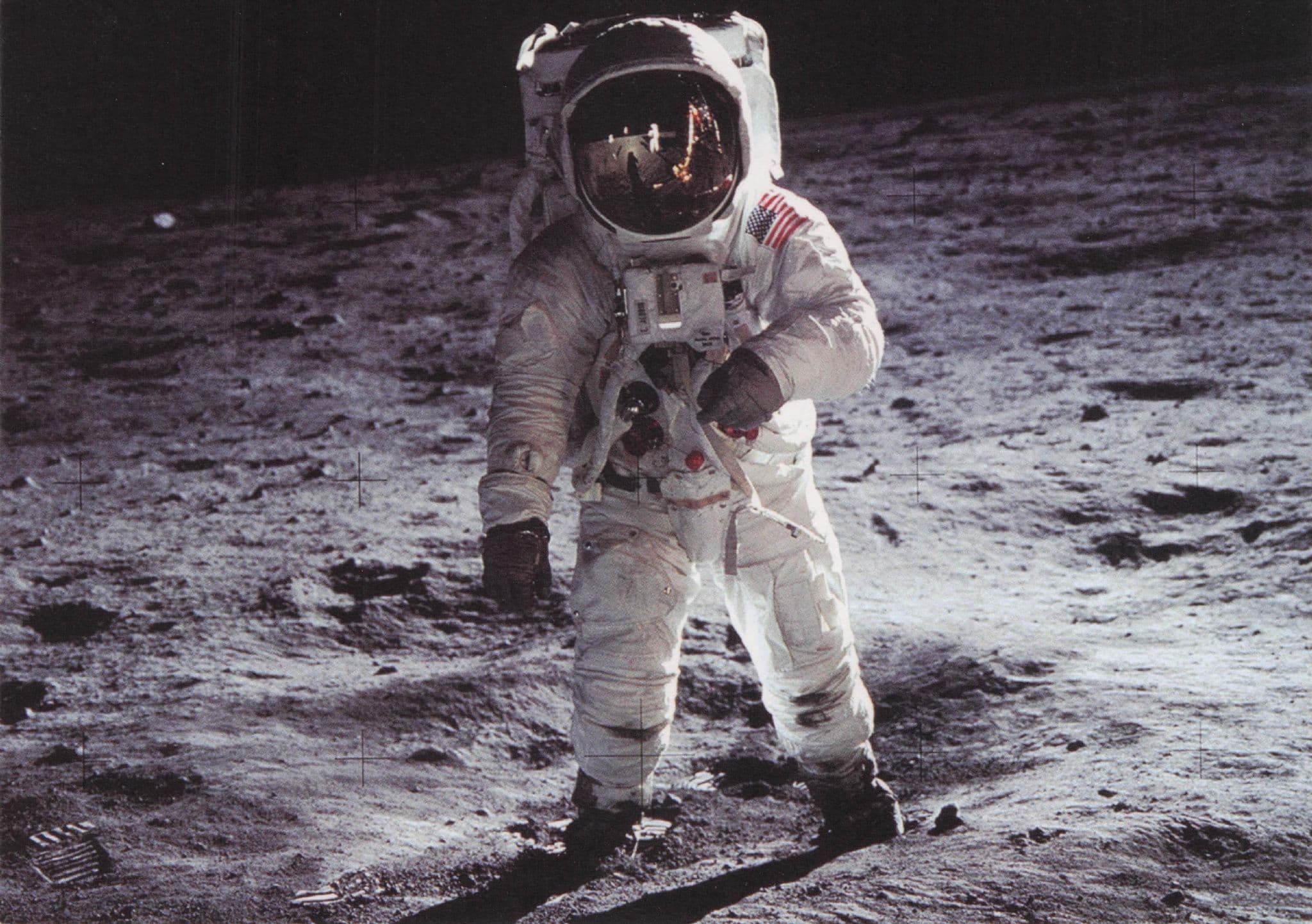 NASA First Animal Woman Man Satellite In Space Photo Postcard