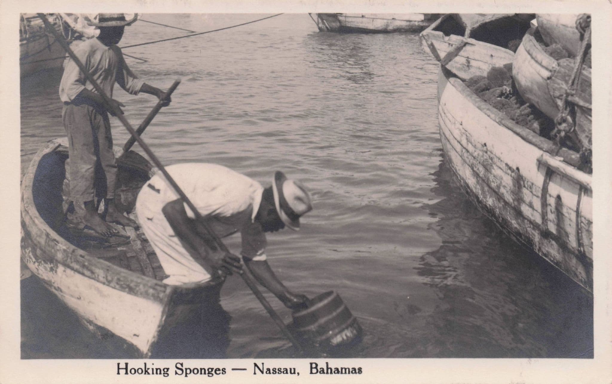 Nassau Hooking Sponges Fisherman Boats Bahamas Antique Rare Postcard