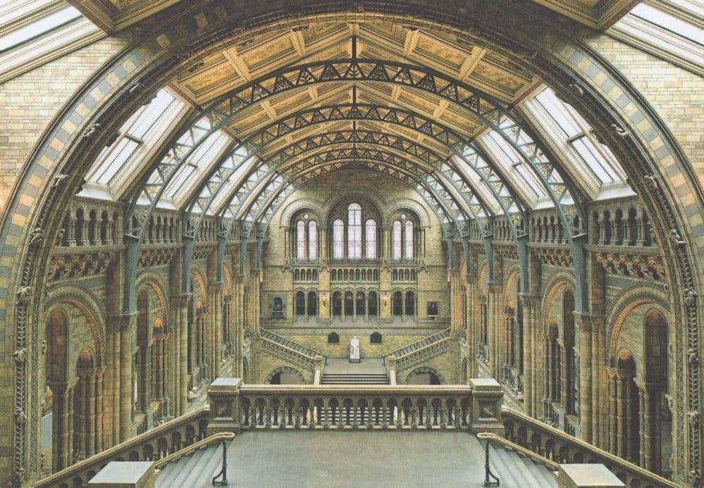 Natural History Museum Hintze Hall London Postcard