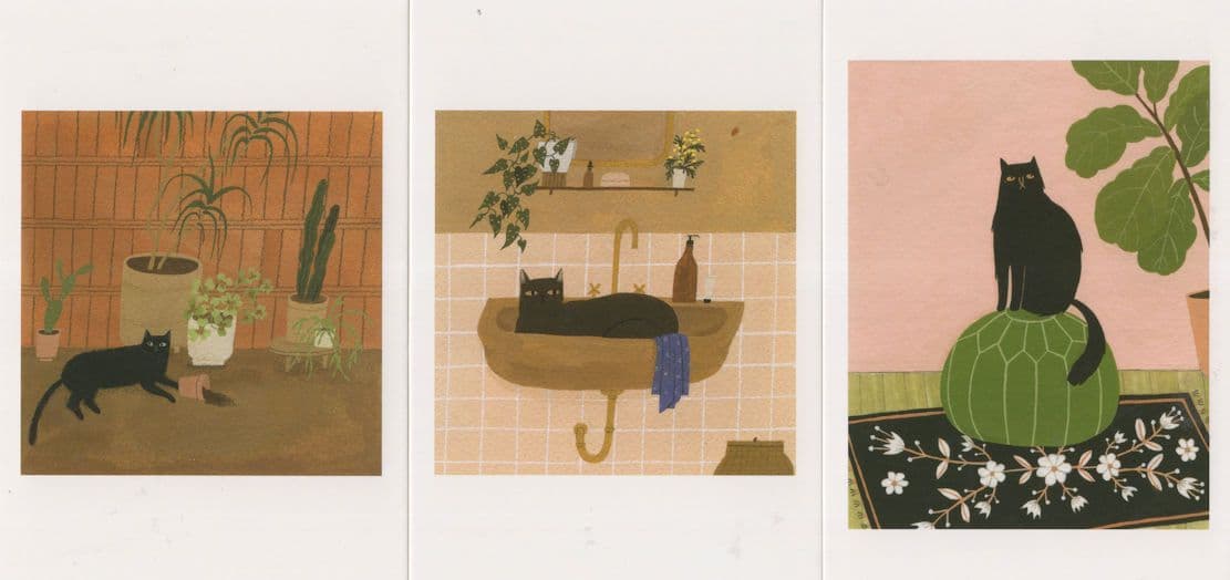 Naughty Black Cat Sleeping In Sink Flower Pot 3x Postcard s
