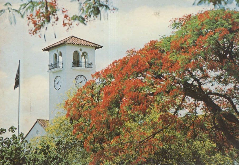 Nelspruit Town Clock With Flag Africa Postcard