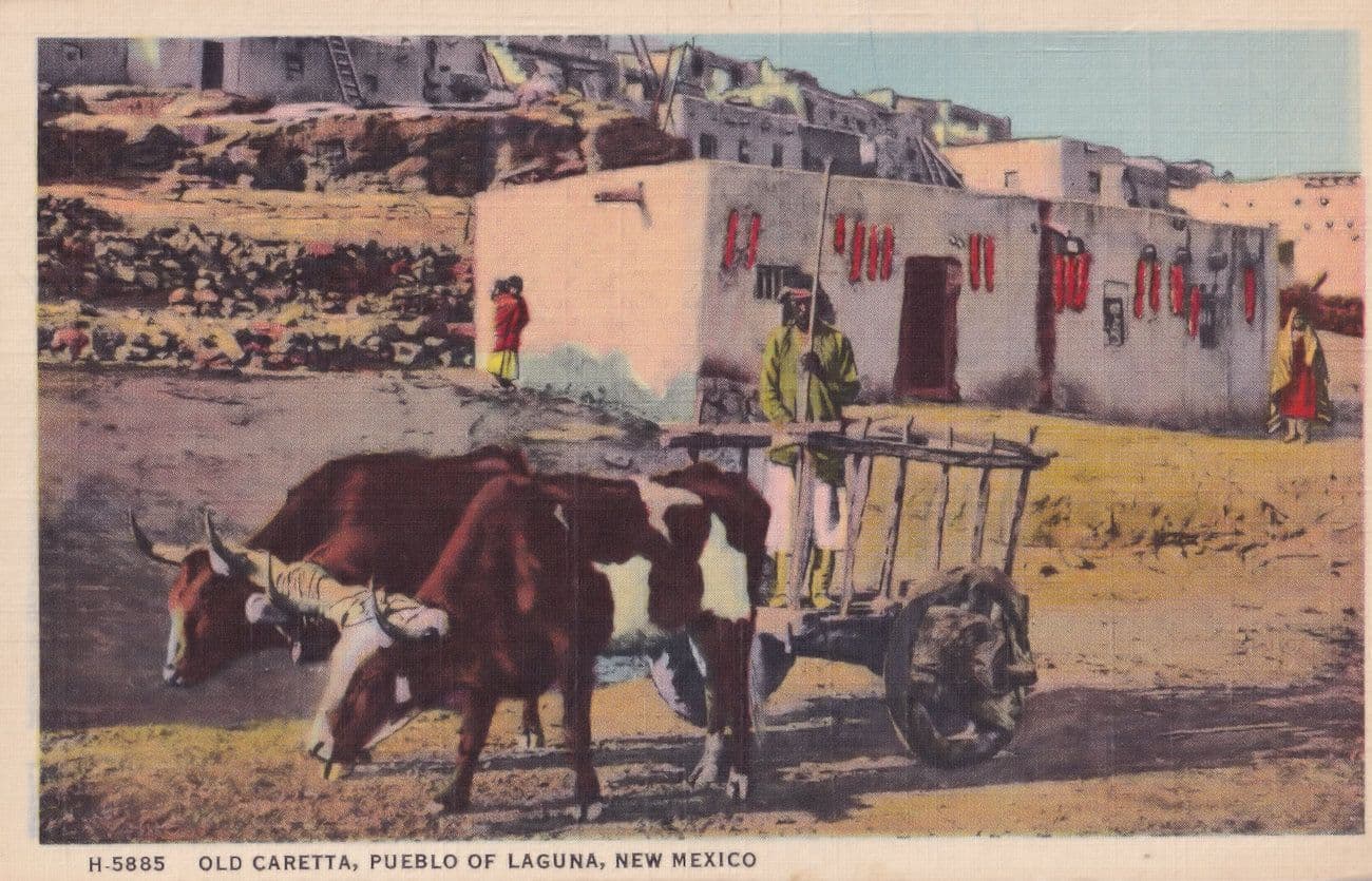 New Mexico Pueblo Laguna Old Caretta Oxen Albuquerque Indian Transport Postcard
