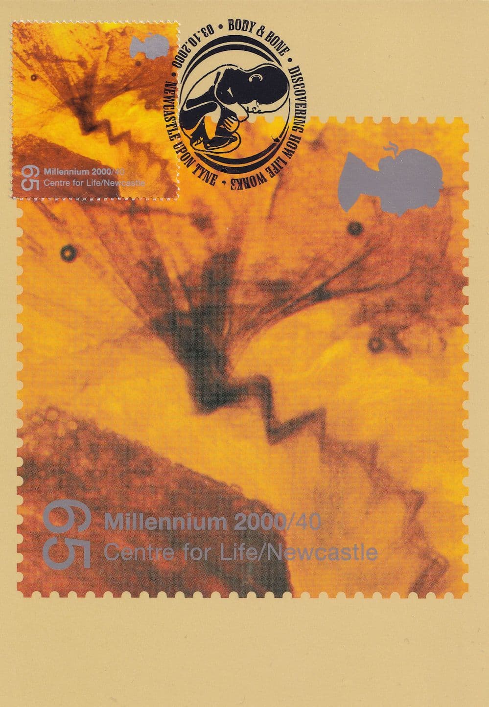 Newcastle Centre For Life First Day Cover Postcard