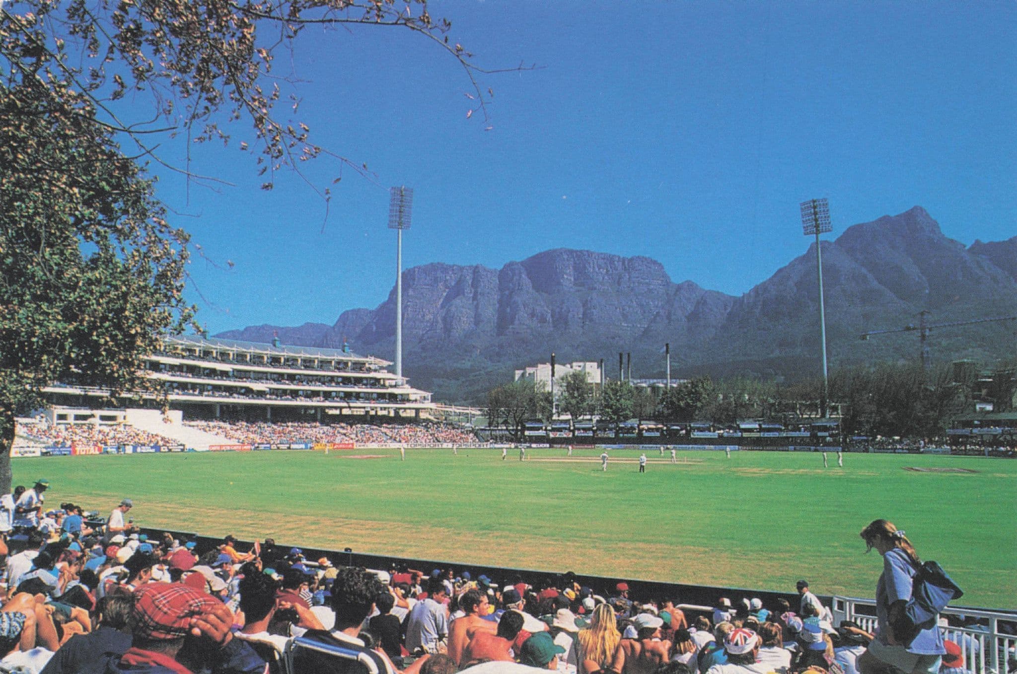 Newlands South African Cricket Ground Cape Town Postcard