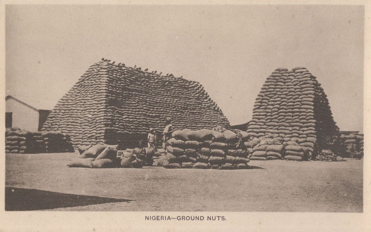 Nigeria Ground Nuts Food Antique African Postcard