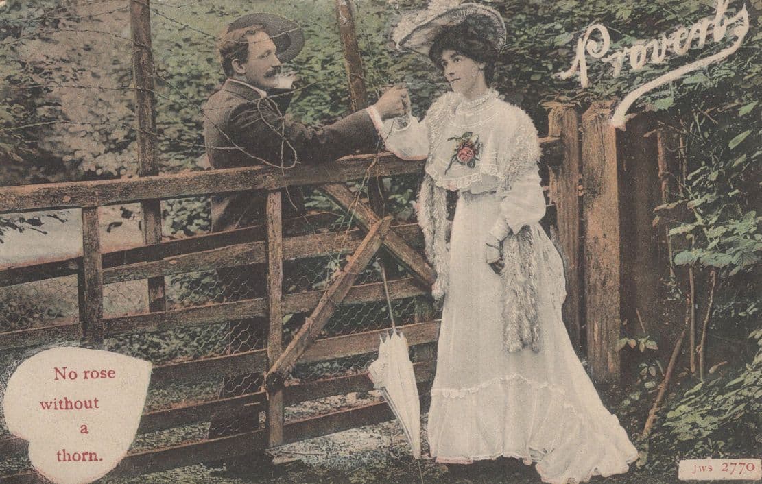 No Rose Without A Thorn Relationship Proverb Old Rare Postcard