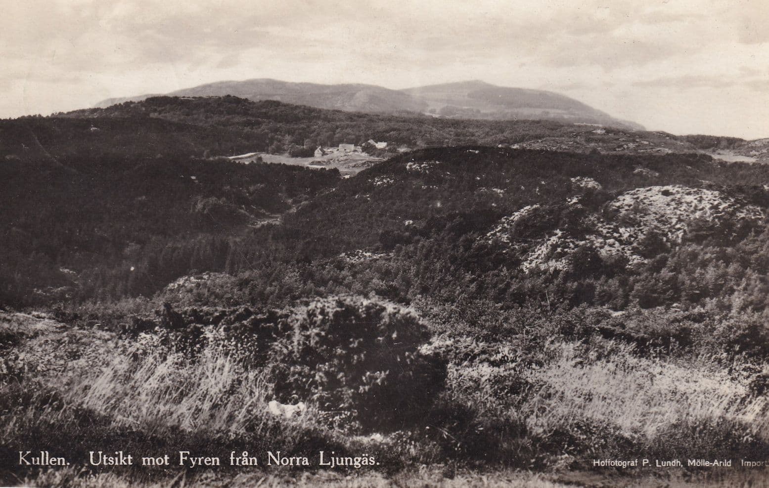 Norra Ljunga Kullen Old Swedish Postcard