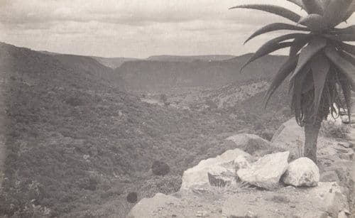Northern Transvaal Wylies Poort South Africa Soldiers Journey WW2 Signed Military Photo Postcard