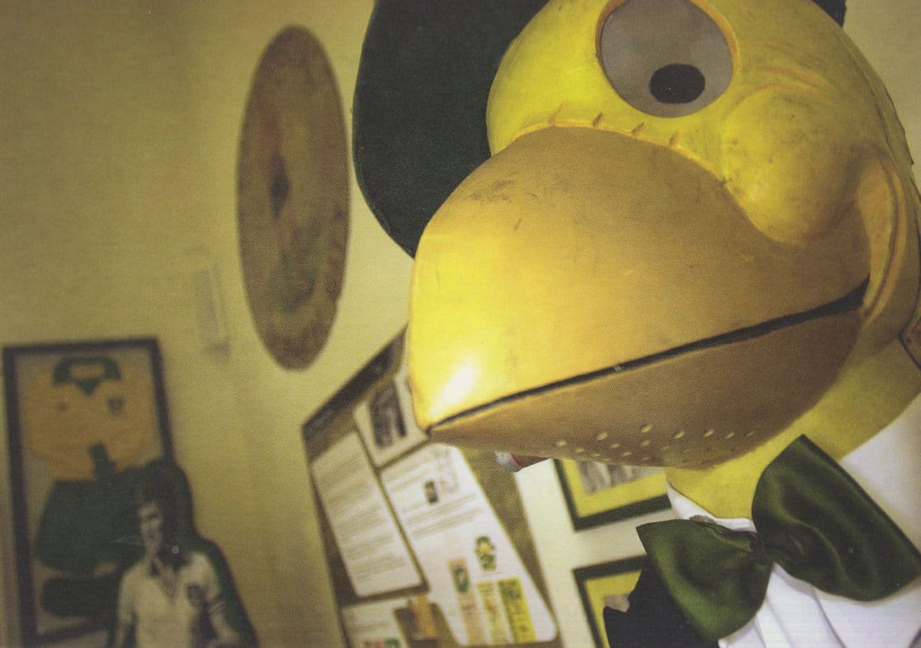 Norwich City Captain Canary Football Mascot At Castle Postcard