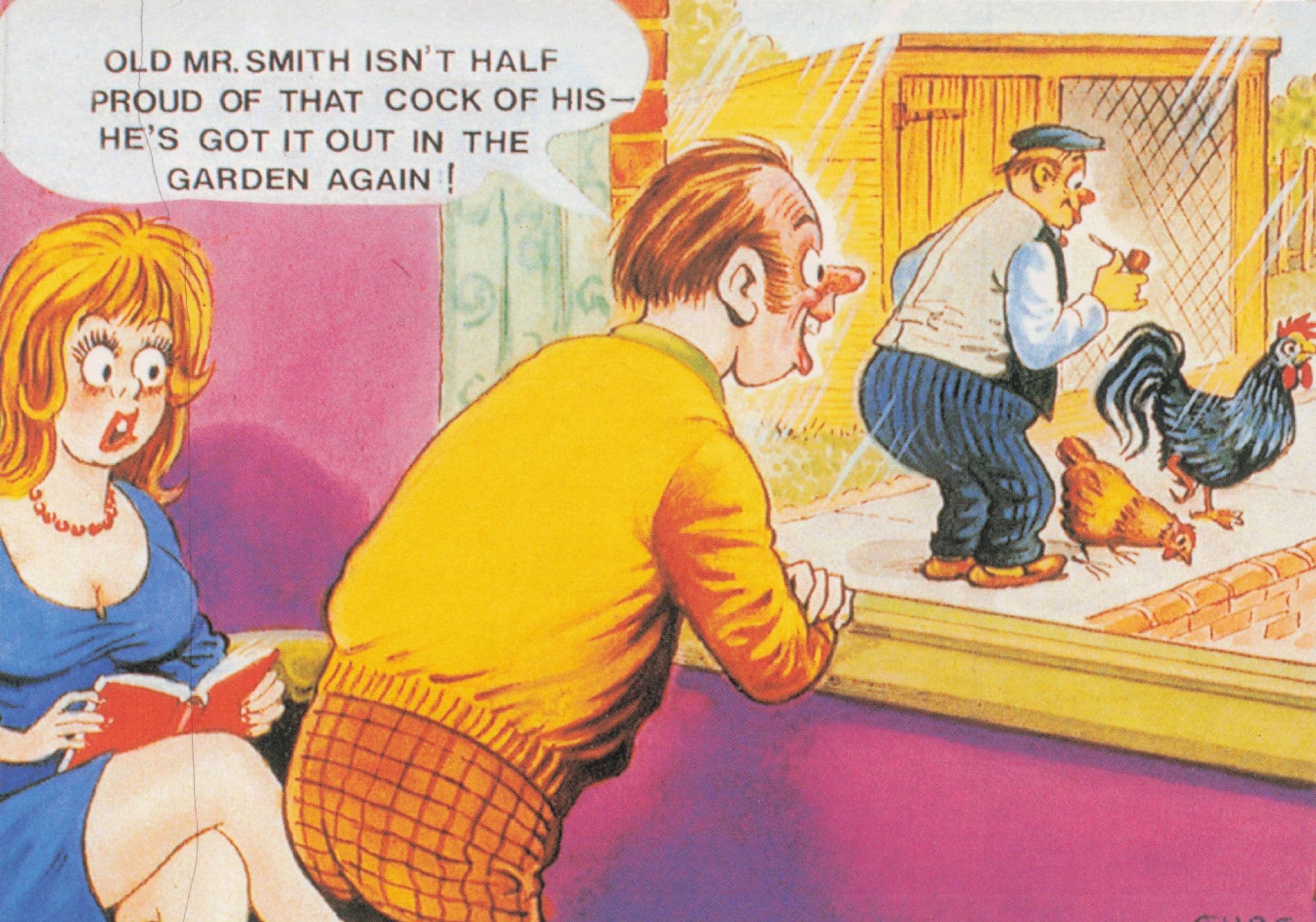 Nosey Neighbour Birds Cock Misunderstanding Bamforth Comic Postcard