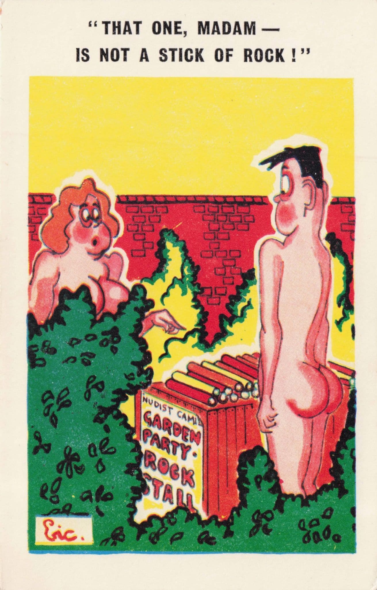 Nudist Garden Party Stick Of Rock Risque Vintage Comic Postcard