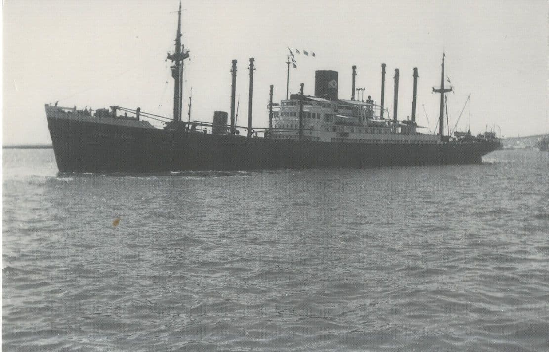 NV Koninklijke Paketvaart Dutch Ship at Rotterdam Ltd RPC Postcard