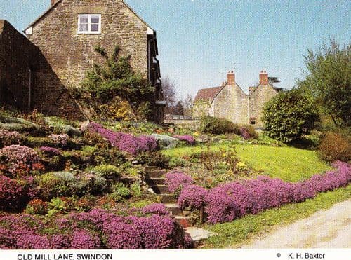 Old Mill Lane Swindon Aubretia Flowers Town Gloucester Rare Photo Postcard