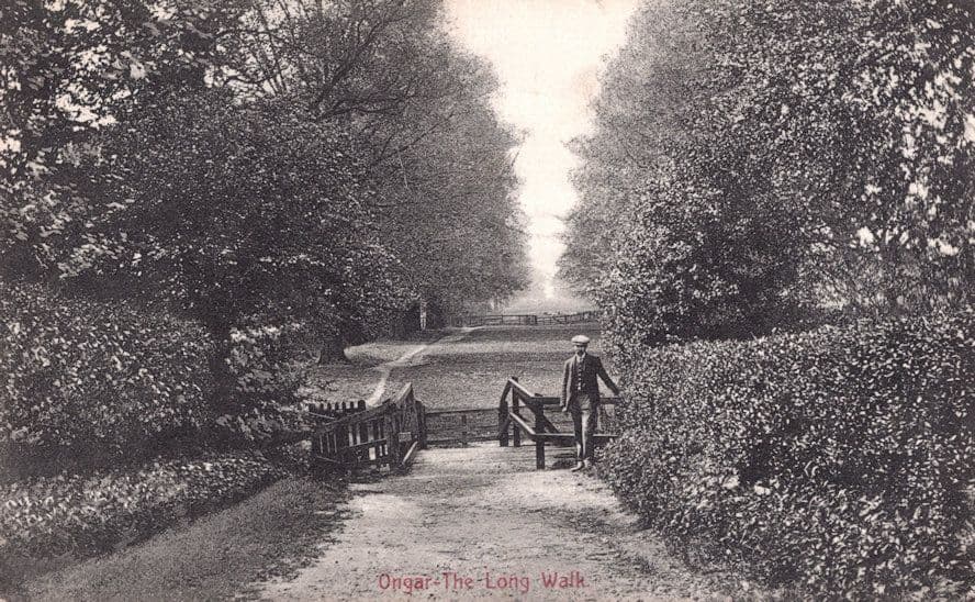 Ongar The Long Walk Antique Essex Postcard