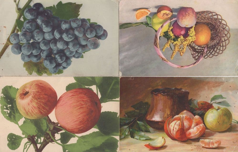 Orange Segments Mandarin Grapes 4x Old Fruit Postcard s