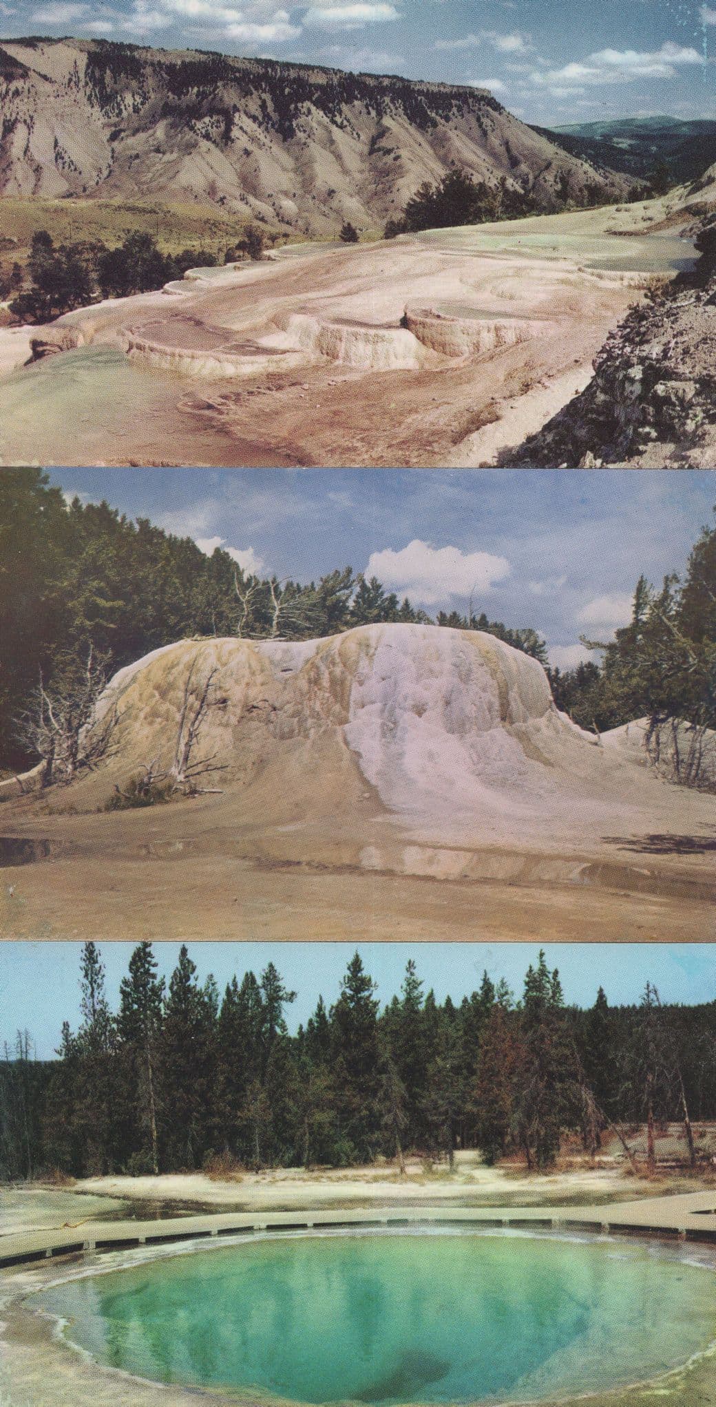 Orange Spring Mound Yellowstone Park USA 3x Postcard s