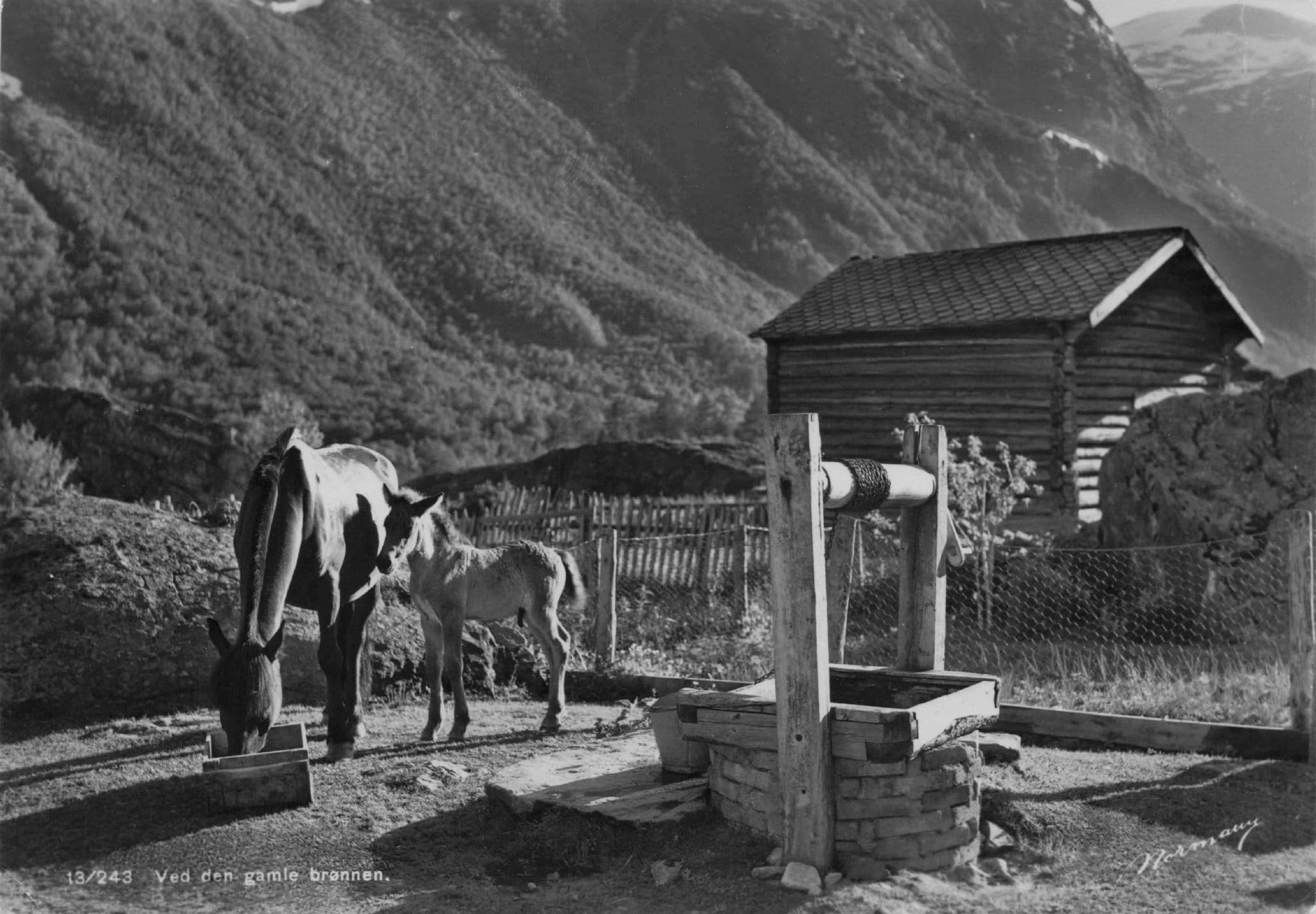 Oslo Horses Farm Old Water Well Norway Vintage Real Photo Postcard