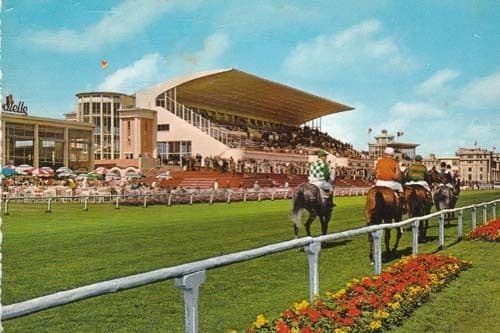 Ostende Wellington Horse Racing Race Course Belgium Horse Postcard