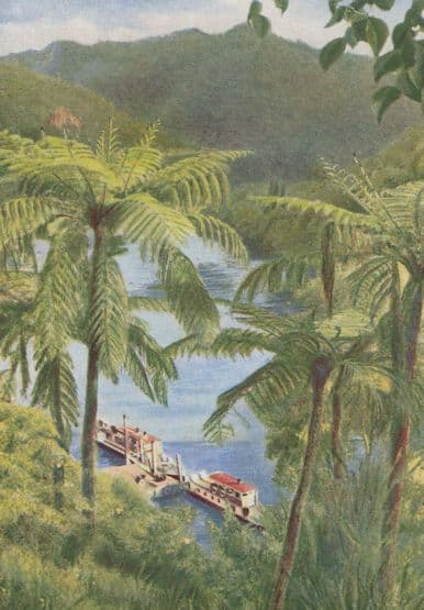 Our Glorious Empire New Zealand Wanganui River Old Postcard