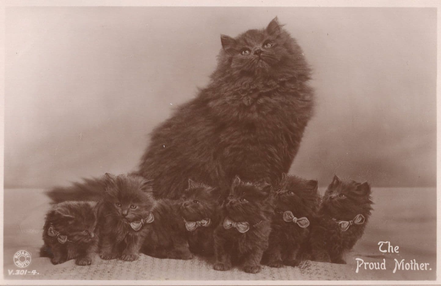 Our Proud Mother Rotary Antique Real Photo Cat Postcard