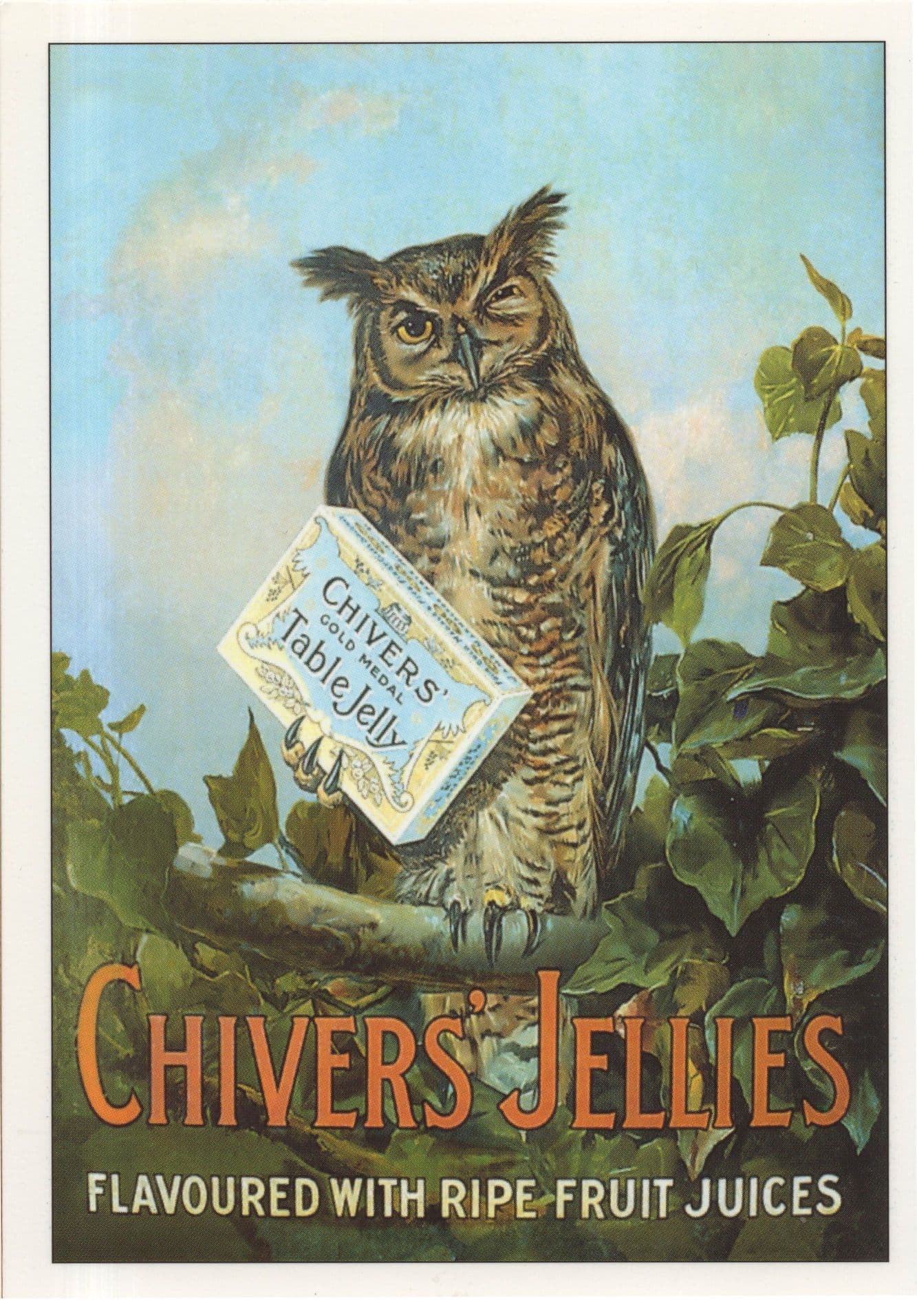 Owl Chivers Jelly Advertising Postcard