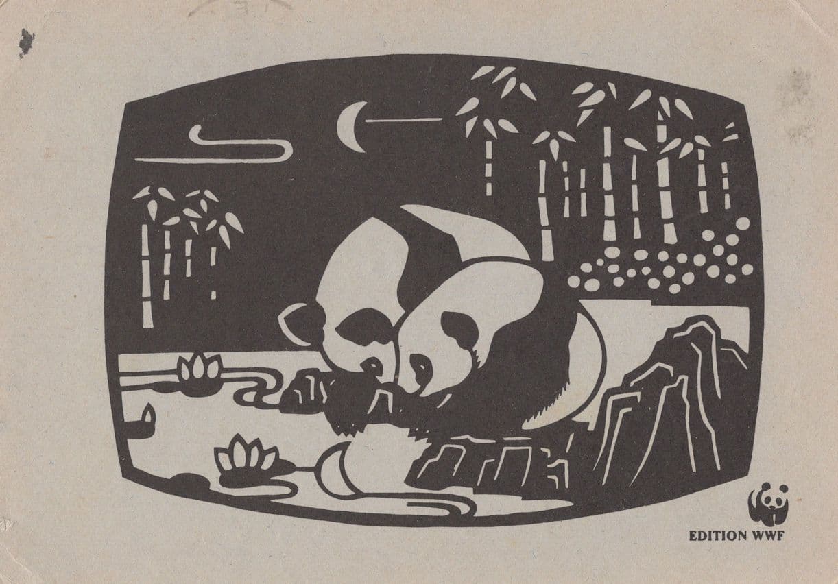 Panda Bear German WWF 1990 Rare Postcard