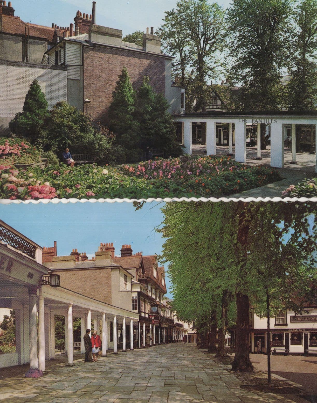 Pantiles Garden Retreat Tunbridge Wells Kent 1970s Postcard