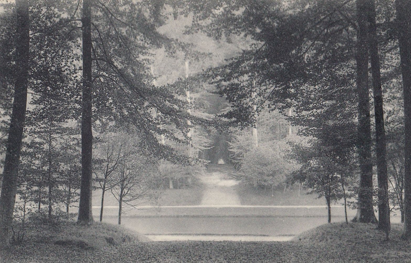 Parc De Terveuren L'Etang Woodland Antique Postcard
