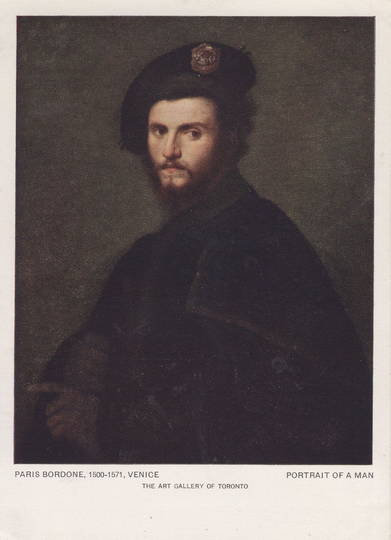 Paris Bordone Venice Portrait Of A Man Toronto Painting Postcard