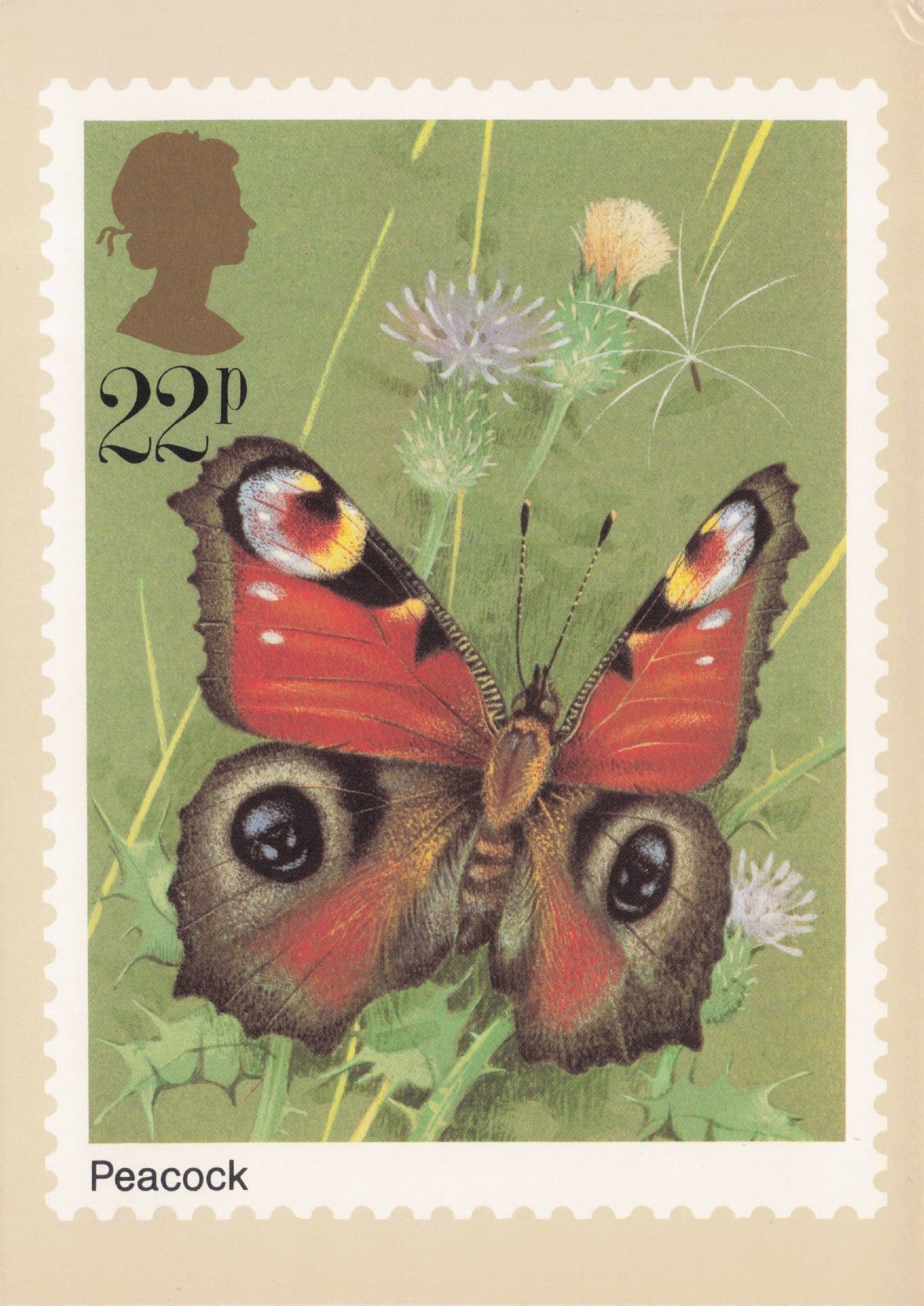 Peacock Butterfly Royal Mail Stamp Limited Postcard