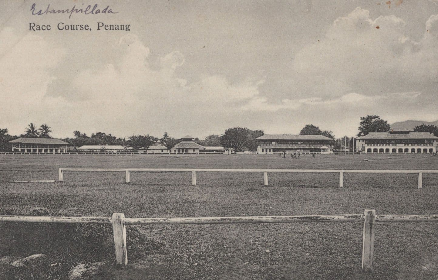 Penang Horse Race Racing Course Malaya Antique Postcard
