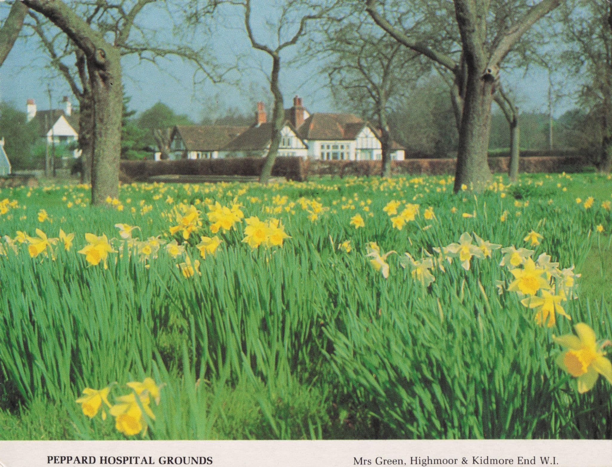 Peppard Hospital Grounds Summer Gardens Oxford Women's Institute Postcard