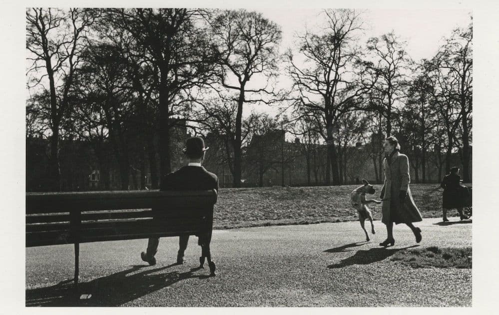 Performing Crazy Dog in Hyde Park London 1952 RPC Postcard
