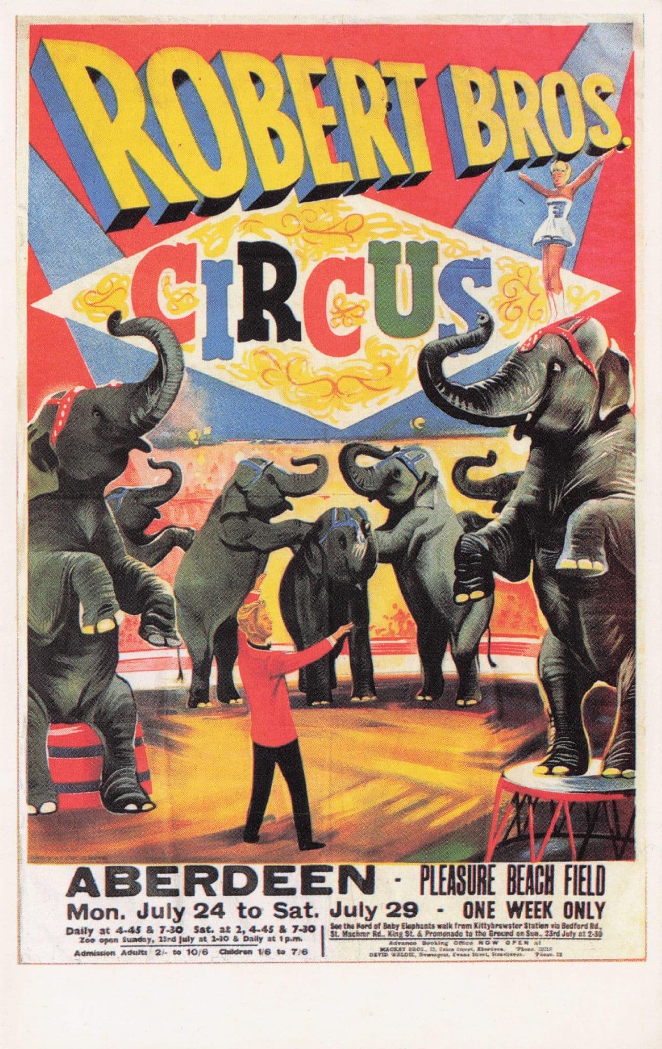 Performing Elephants Aberdeen Robert Bros Circus Poster Postcard