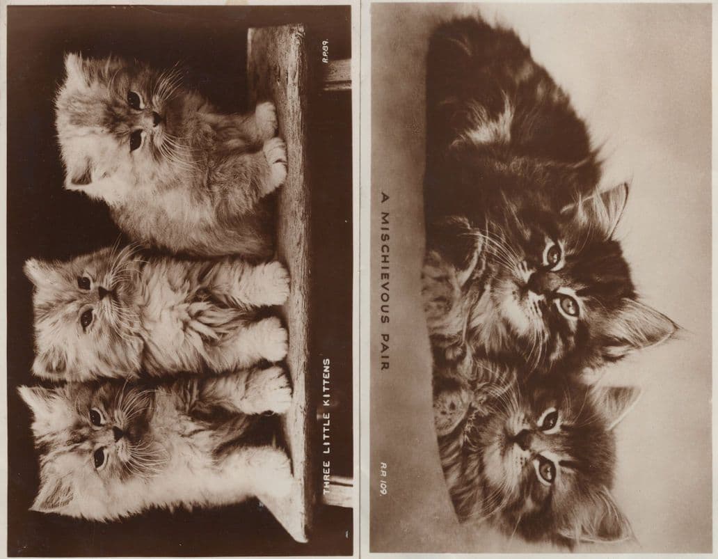 Persian Beauties Three Little Kittens 2x Valentines Cat RPC Postcard s