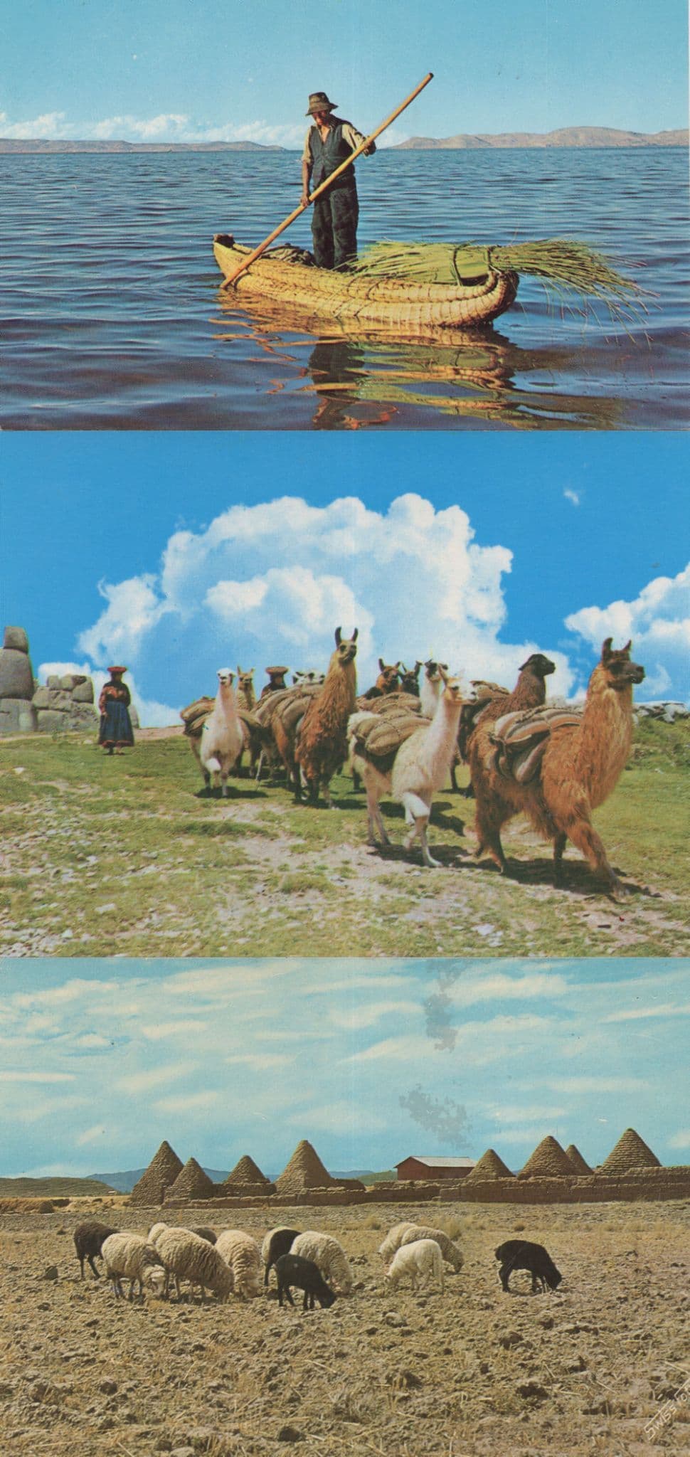 Peru Llamas Fisherman Boat Putokos 3x Postcard s