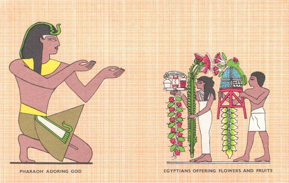 Pharaoh Adoring God Egyptians Offering Food Fruit Old Postcard