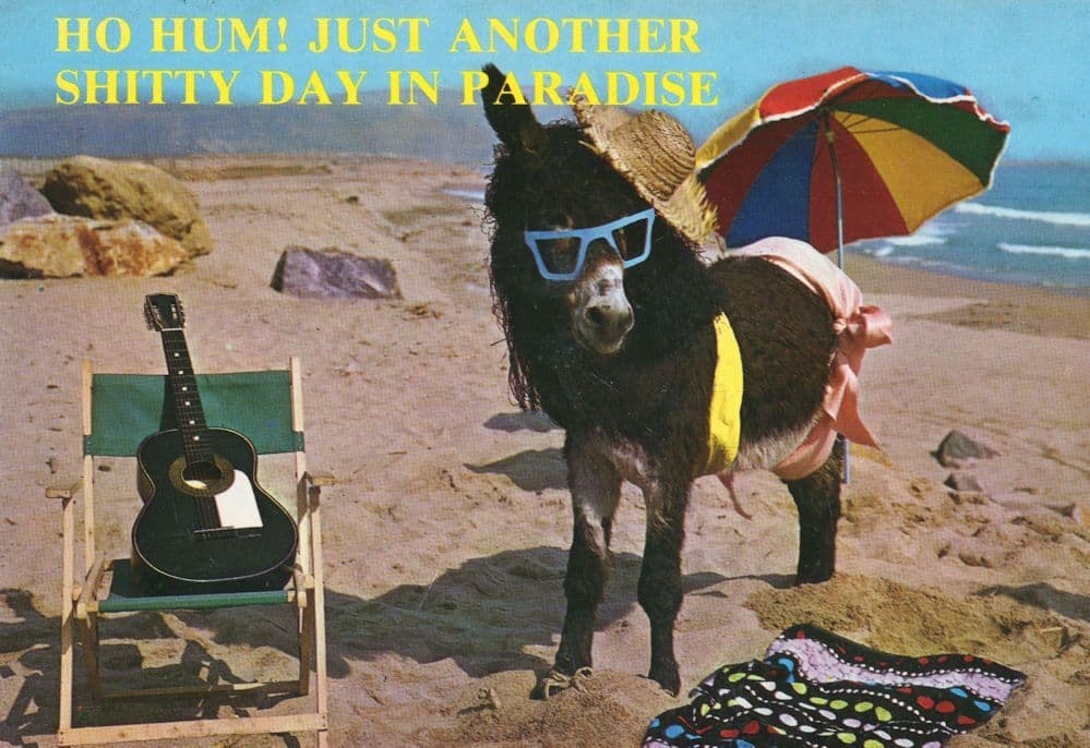 Phil Collins of Genesis Donkey Beach Rock Guitar Comic Postcard