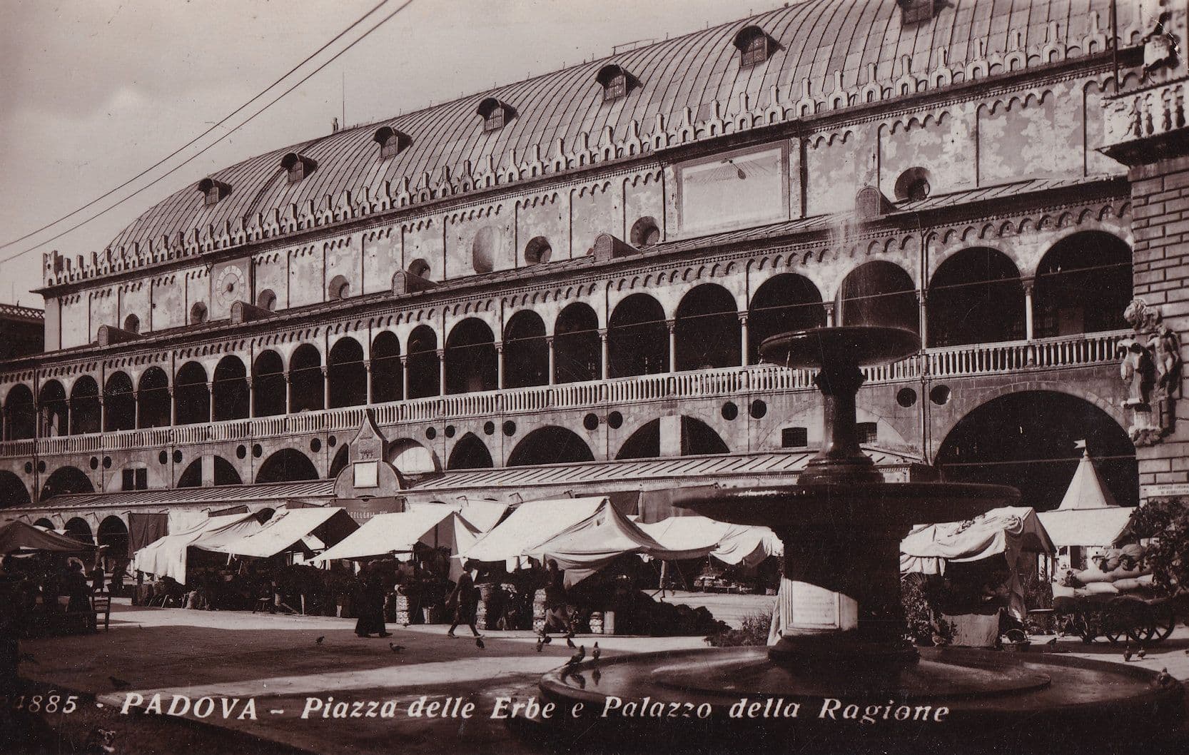 Piazza Delle Erbe Padova Italy Real Photo Postcard