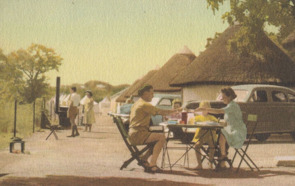 Picnic at Kruger Zoo National Park South Africa Old Oilette Postcard