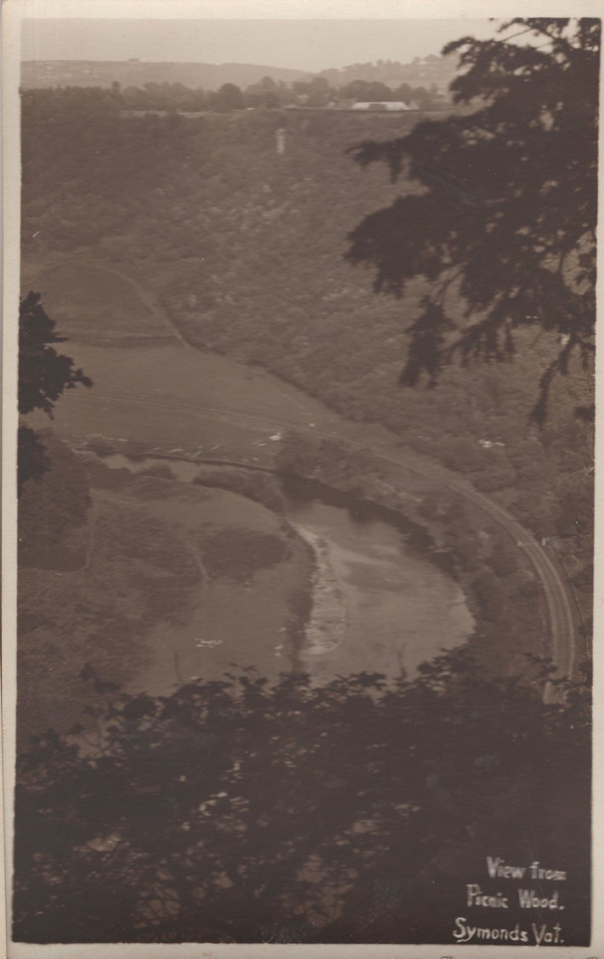 Picnic Wood Symonds Yat Old Gloucester Postcard