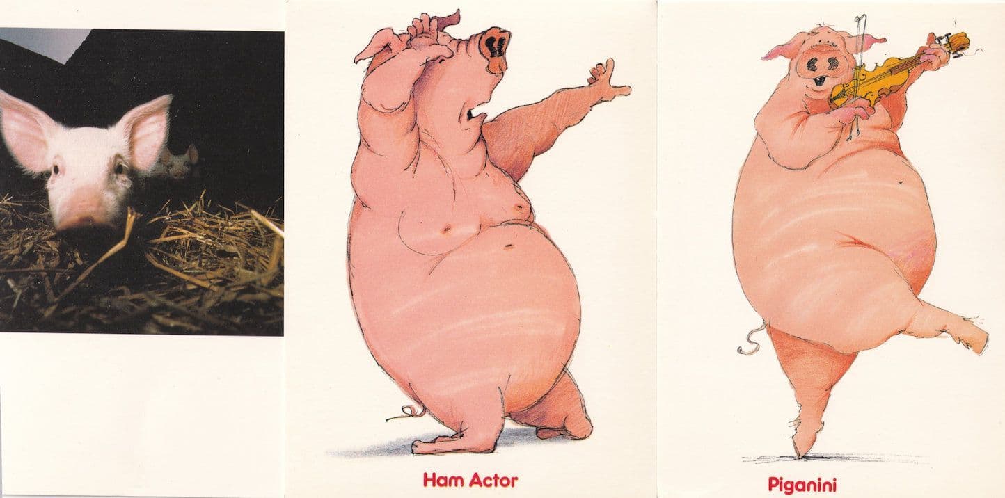 Pig Playing Piganini Violin Musician Theatre Actor 3x Postcard s