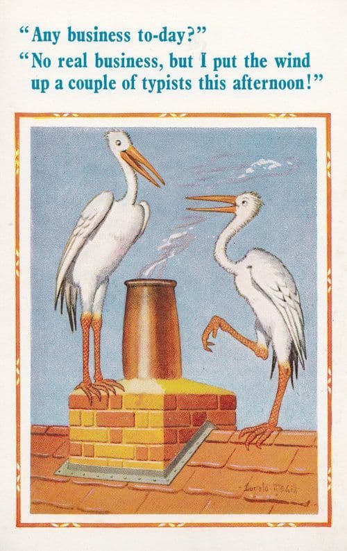 Pigeon Secretary Birds Wind Up Typists Comic Postcard