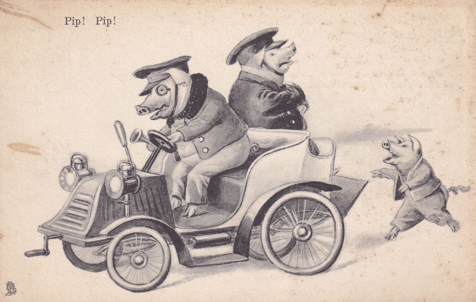 Pigs Chauffers Classic Antique Car Hooter Noise Old Comic Postcard