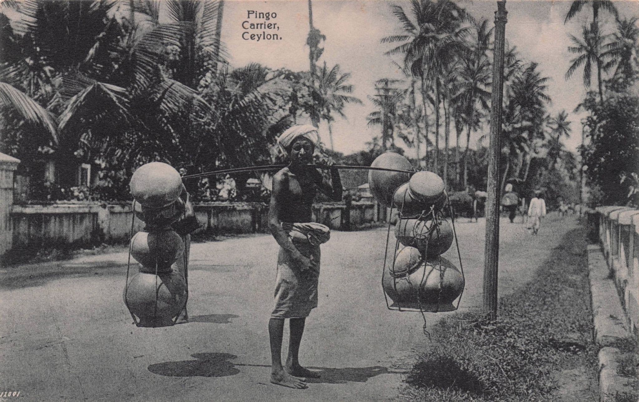 Pingo Carrier Ceylon India Antique Postcard